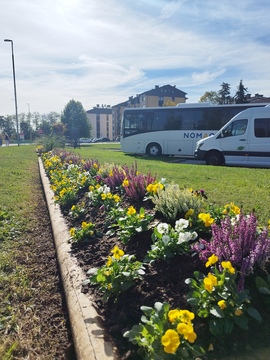 cvetlice